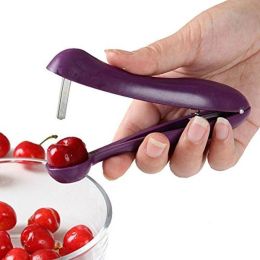 Handheld Olive Plastic Fruit Core Seed Remover - Purple - one size