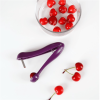 Handheld Olive Plastic Fruit Core Seed Remover - Purple - one size