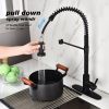 Kitchen Faucet with Pull Out Spraye-dk - Matte Black