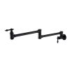 Pot faucet wall-mounted faucet (black) - Default