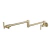 Pot faucet wall-mounted faucet(gold) - Default