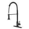 Kitchen Faucet with Pull Out Spraye-dk - Matte Black