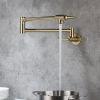 Pot faucet wall-mounted faucet(gold) - Default