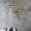 Pot faucet wall-mounted faucet(gold) - Default