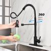 Kitchen Faucet with Pull Out Spraye-dk - Matte Black