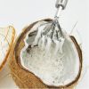 Home Accessories Coconut Shaver Kitchen Fish Clean Scales Tools - as the picture