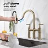 Transition bridge kitchen faucet with pull-down nozzle - Default