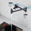 Pot faucet wall-mounted faucet (black) - Default