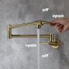Pot faucet wall-mounted faucet(gold) - Default