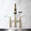 Transition bridge kitchen faucet with pull-down nozzle - Default